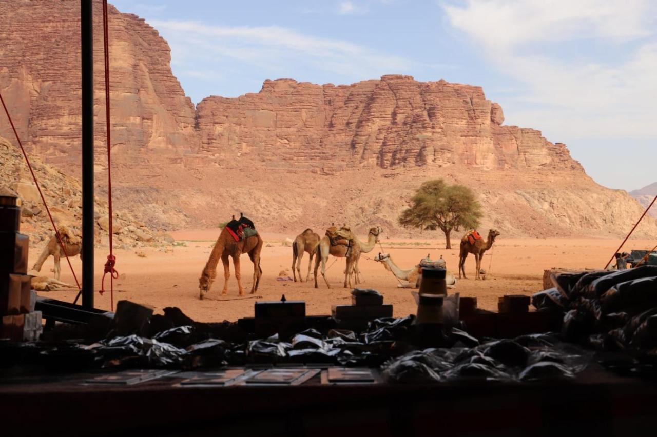 Bedouin Desert Camp Wadi Rum Exterior photo